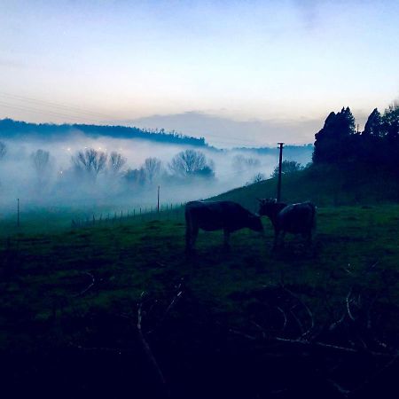 הוילה Borghetto  Fattoria Lucciano מראה חיצוני תמונה