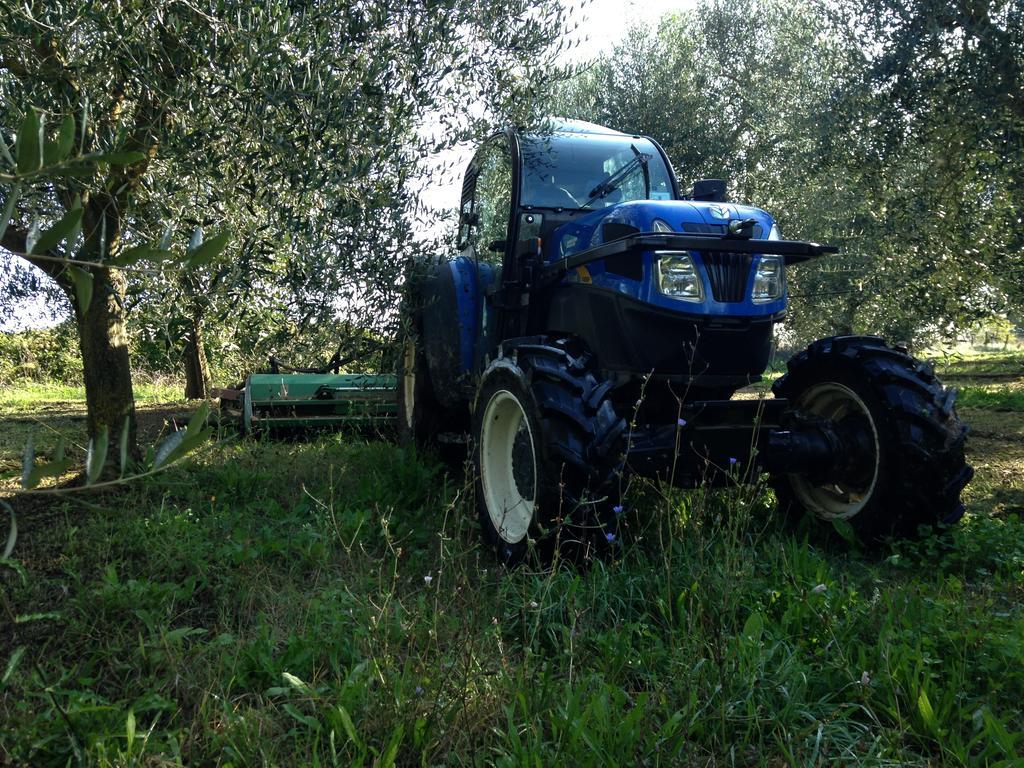 הוילה Borghetto  Fattoria Lucciano מראה חיצוני תמונה