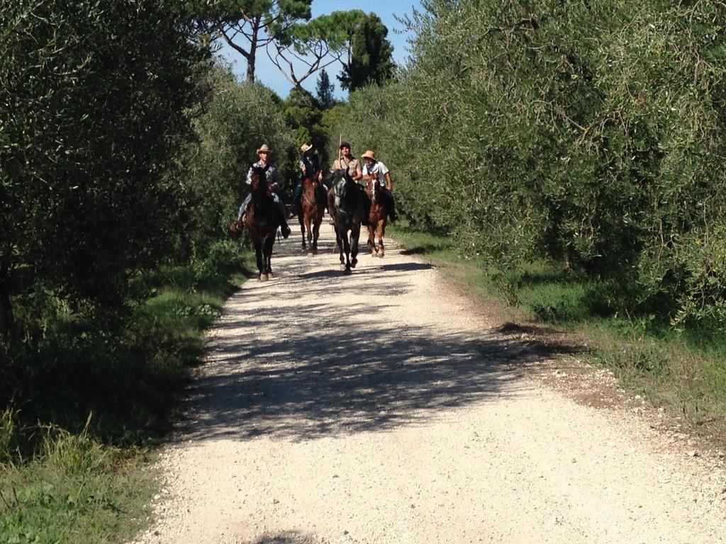 הוילה Borghetto  Fattoria Lucciano מראה חיצוני תמונה