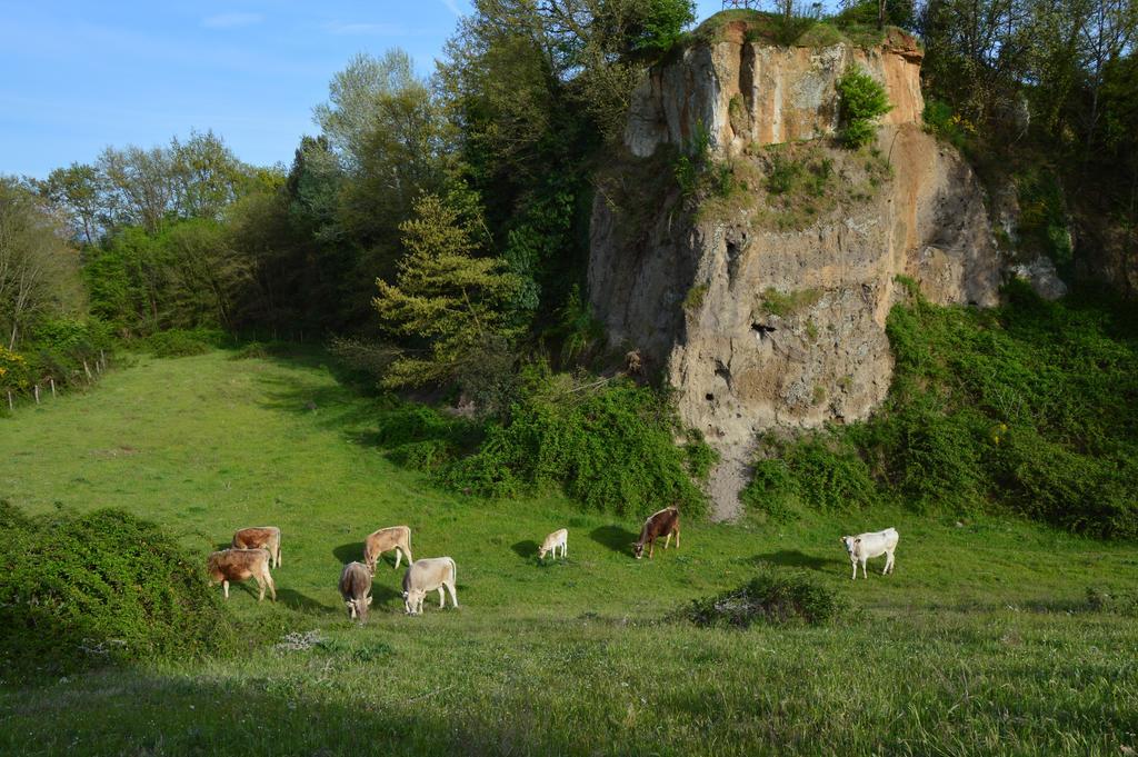 הוילה Borghetto  Fattoria Lucciano מראה חיצוני תמונה
