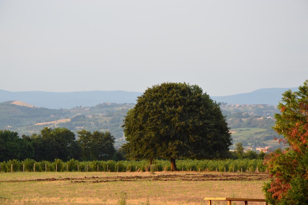 הוילה Borghetto  Fattoria Lucciano חדר תמונה