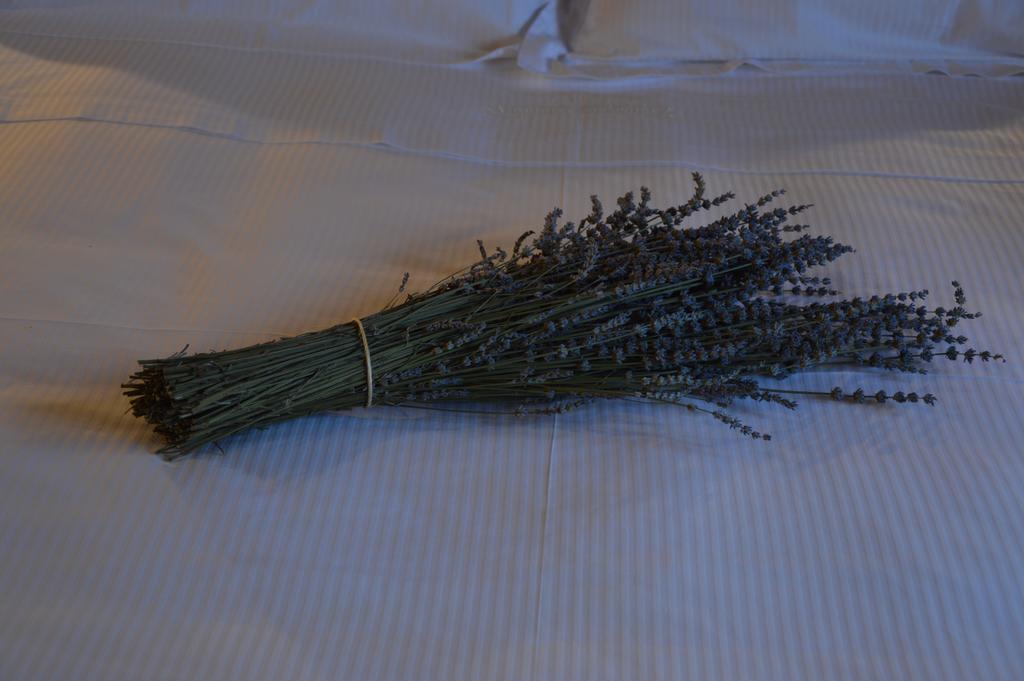 הוילה Borghetto  Fattoria Lucciano חדר תמונה