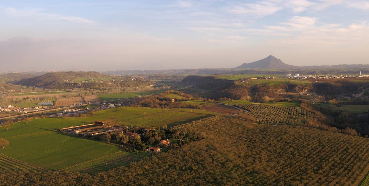 הוילה Borghetto  Fattoria Lucciano מראה חיצוני תמונה